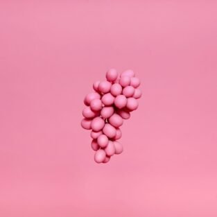 alex-gruber-pz_hAv6ER7c-unsplash